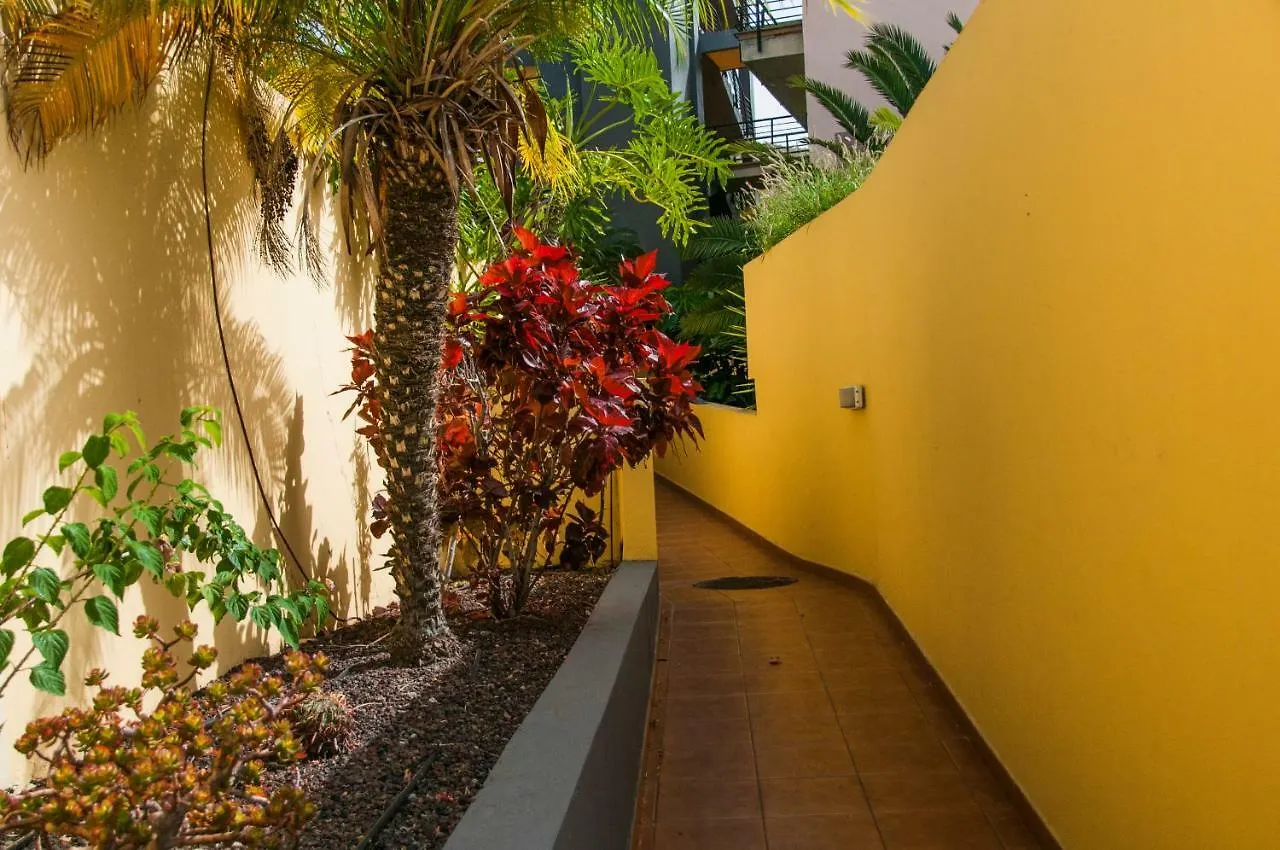 Apartment Encantador 120 M2 Vistas Al Mar Y Montana Candelaria Spain